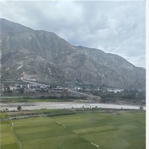 刘海波