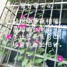 陈均平