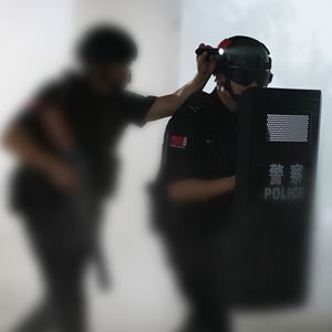 邓伟士